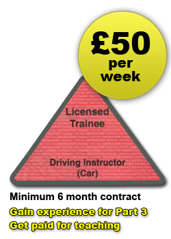 Trainee Driving Instructor Licence